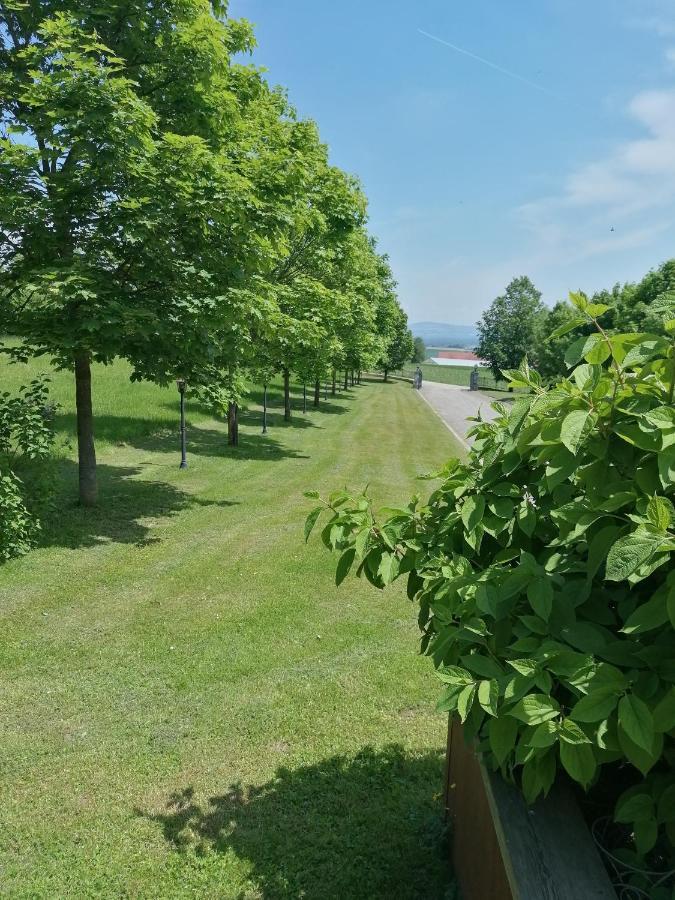 Hinzenbach Ferienwohnung Schuhmann Mit Wintergarten Und Garten Therme Aquapulco Und Ikuna Erlebnispark, Zoo Schmiding 20 Min Mit Auto Entfernt Ab 3 Naechte Buchbar מראה חיצוני תמונה