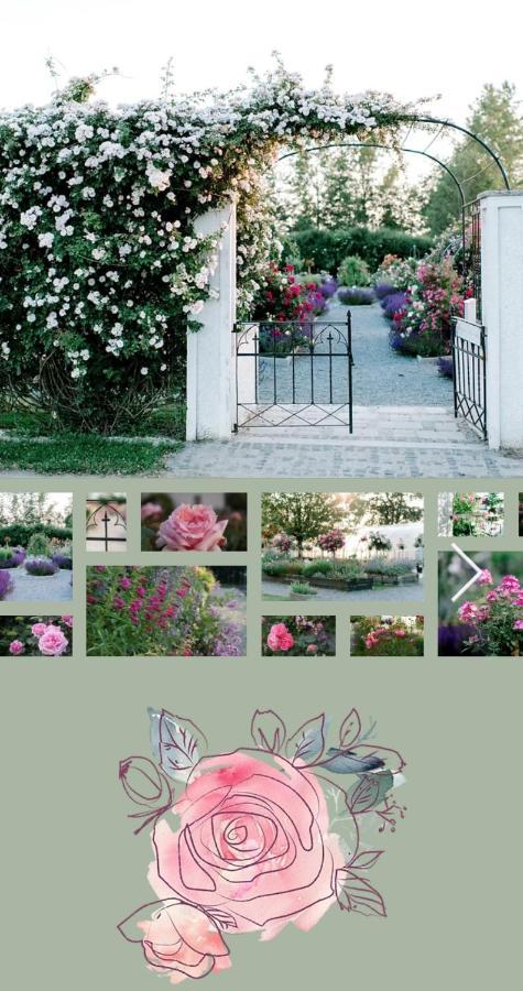 Hinzenbach Ferienwohnung Schuhmann Mit Wintergarten Und Garten Therme Aquapulco Und Ikuna Erlebnispark, Zoo Schmiding 20 Min Mit Auto Entfernt Ab 3 Naechte Buchbar מראה חיצוני תמונה